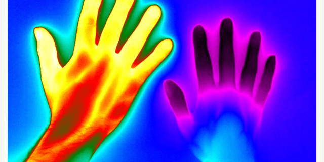 9f84c4cea630a4aab46ac2dc1b9cef20