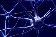 Травмы спинного мозга перестанут быть серьезной проблемой