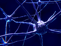 Травмы спинного мозга перестанут быть серьезной проблемой