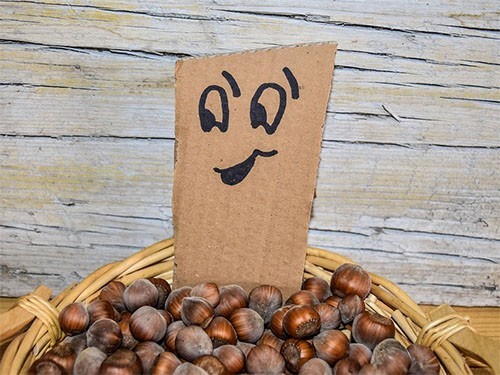 Обилие растительного белка в рационе положительно влияет на продолжительность жизни — МедНовости