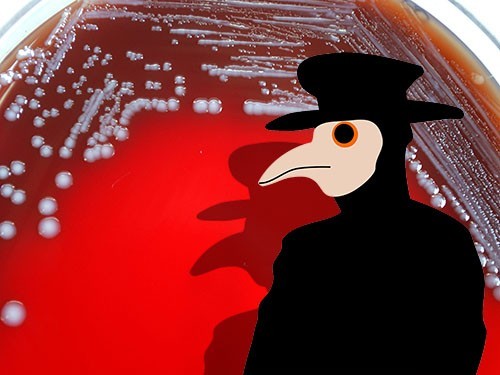 Эпидемию кори в Европе может остановить только вакцинация — МедНовости