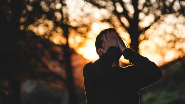 Костная ткань принимает активное участие в развитии стресса