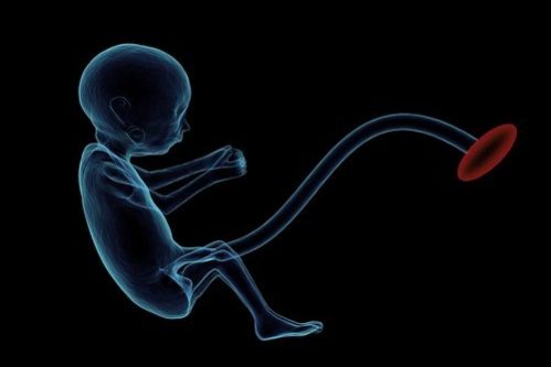 Частицы из загрязненного воздуха способны проникать через плаценту и воздействовать на плод — МедНовости