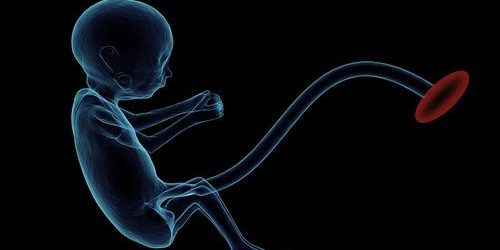 Частицы из загрязненного воздуха способны проникать через плаценту и воздействовать на плод — МедНовости