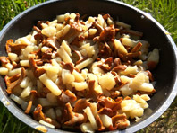 Исследователи призывают мужчин средних лет есть больше грибов