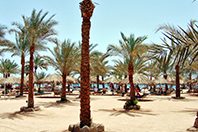 Микрофлора кишечника покажет, отдыхал ли человек в солнечной стране