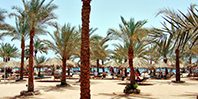 Микрофлора кишечника покажет, отдыхал ли человек в солнечной стране