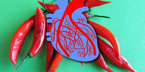Ученые нашли связь между перцем чили болезнями сердца и сосудов. Рассказываем подробности — МедНовости