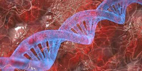 Генетика в большинстве случаев плохо предсказывает риск болезней — МедНовости