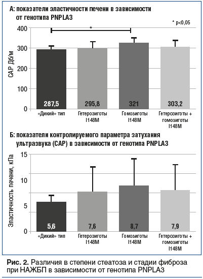 Рис. 2. Различия в степени стеатоза и стадии фиброза при НАЖБП в зависимости от генотипа PNPLA3