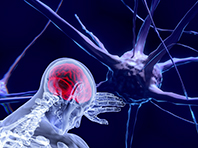 Гель со стволовыми клетками дает второй шанс при повреждениях мозга