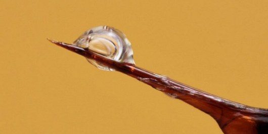 Лечение пчелиным ядом. Что нужно знать?