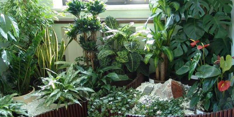 Медики рассказали, чем может быть опасна домашняя пыль