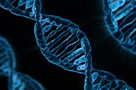 Приложение для знакомств по ДНК — амбициозный проект генетиков