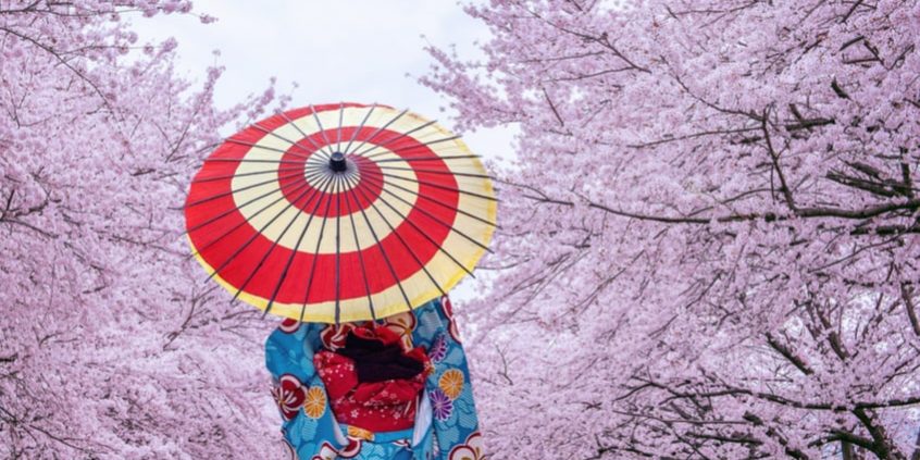 Японские специалисты помогут увеличить в России среднюю продолжительность жизни