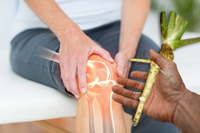 Названо эффективное натуральное средство при артрозе