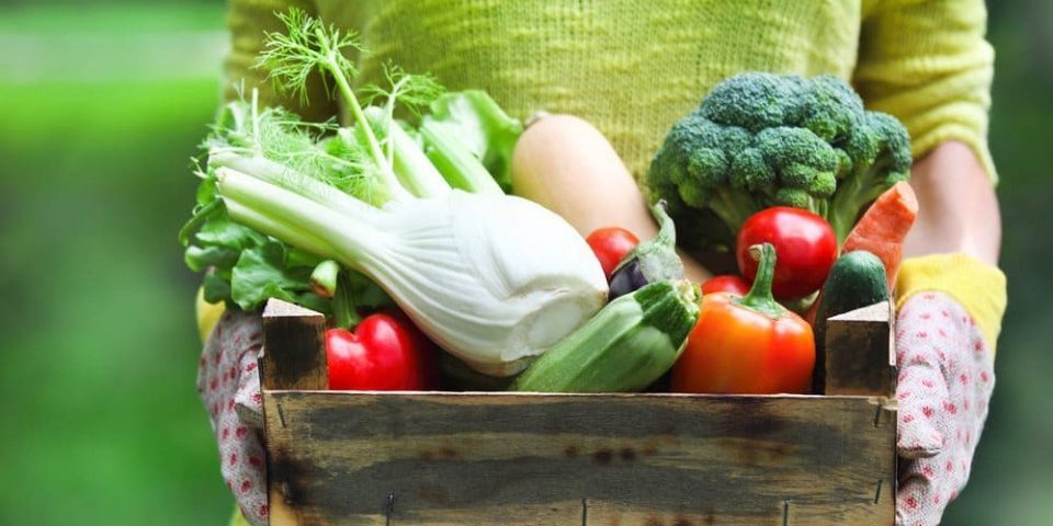 Названы продукты для эффективной чистки печени