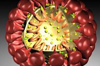 В Китае разгорается вспышка инфекционного заболевания