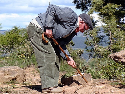 Одна минута интенсивных упражнений в неделю заметно улучшает здоровье людей старше 65 лет — МедНовости