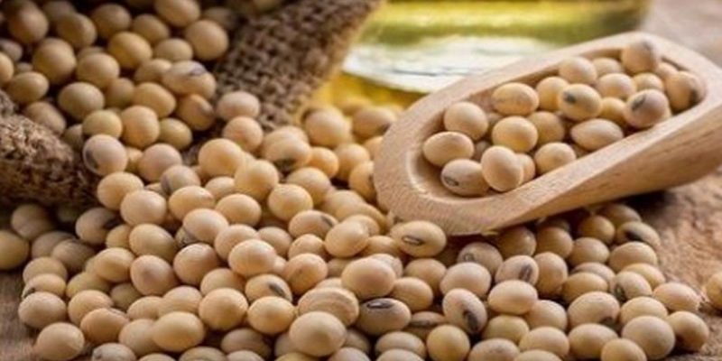 Почему эти 5 продуктов должны быть в рационе после 40 лет