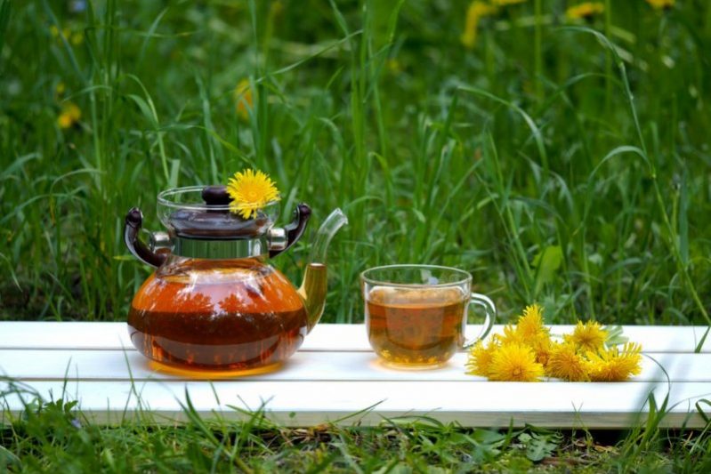 Лучшие растения против лишнего веса