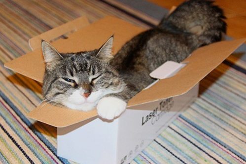 Еще один повод не бояться посылок из Китая — МедНовости