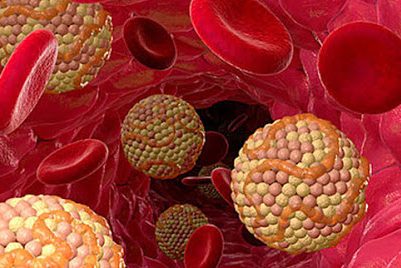 5 любопытных фактов о холестерине, о которых вы не подозреваете