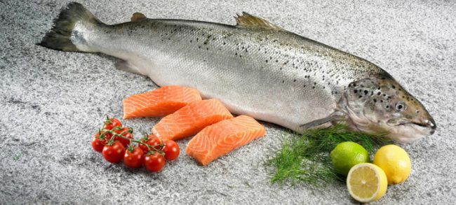Какая рыба самая полезная для организма