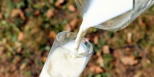 Ученые нашли связь между молоком и раком молочной железы — МедНовости
