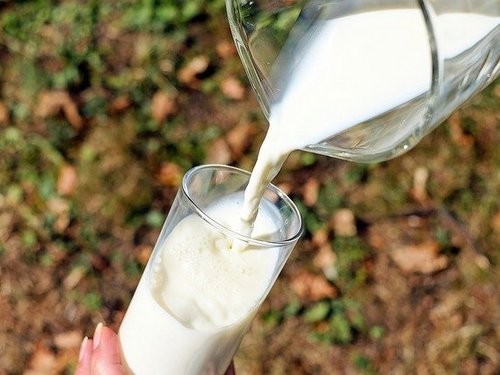 Ученые нашли связь между молоком и раком молочной железы — МедНовости