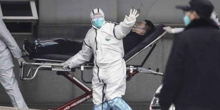 Люди могли заразиться китайским вирусом от змей