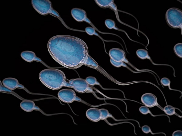 Мифы о сперме: как долго сперматозойды выживают в воздухе и воде?