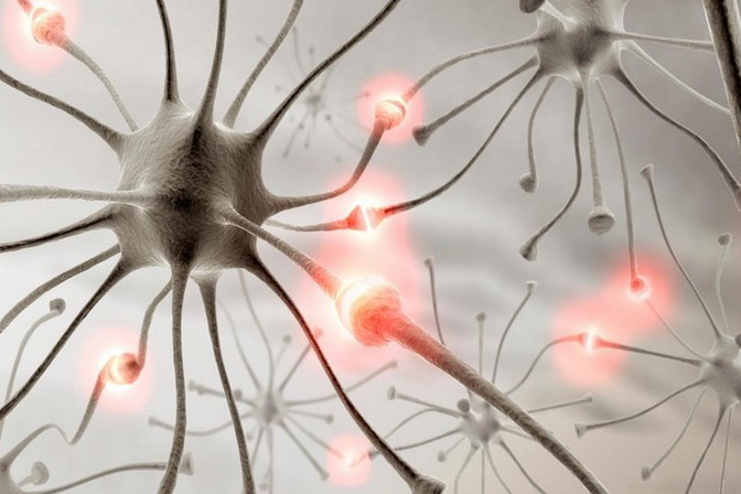 Научные способы остановить старение мозга