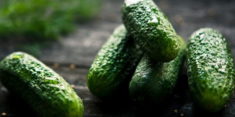 Медики рассказали, почему нельзя закусывать алкоголь солеными огурцами