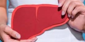 7 продуктов, улучшающих состояние печени с ожирением