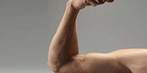 Мышцы помнят. Их память поможет восстановить физическую форму — МедНовости