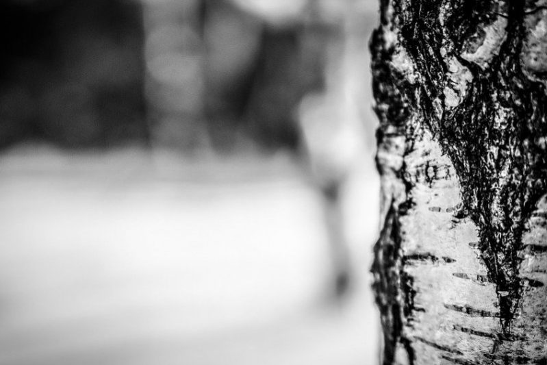 Гастроэнтерологи рассказали, кому нельзя пить березовый сок