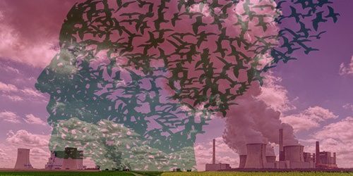 Легкое загрязнение воздуха может увеличивать риск деменции при болезнях сердца — МедНовости