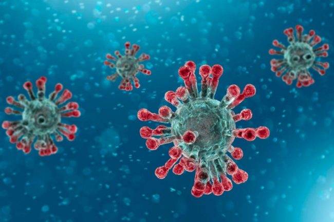 covid-19 тест на коронавирус