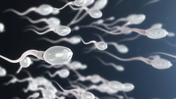 Репродуктологи доказали, что улучшить качество спермы возможно с помощью БАДов