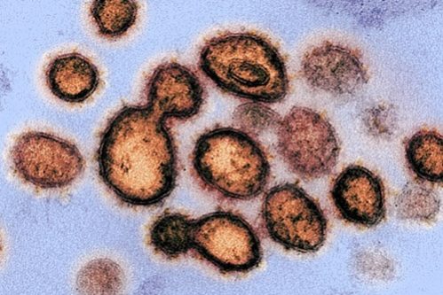 Коронавирус: Инфекция обнаружена в 49 странах, ВОЗ заявляет о пандемическом потенциале вируса — МедНовости