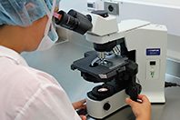 Новый противораковый препарат растворяет раковые клетки буквально на глазах