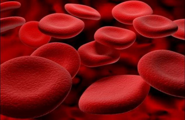 Носители какой группы крови обладают самым сильным иммунитетом