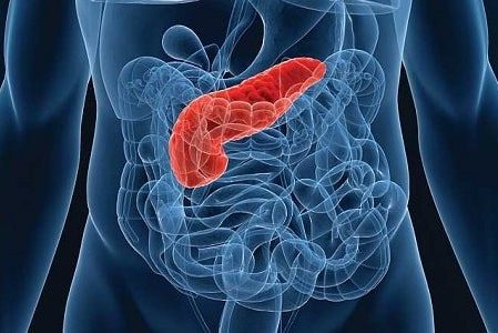5 распространенных симптомов болезней поджелудочной железы