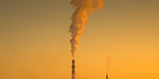 Загрязнение воздуха негативно влияет на гены, показало исследование