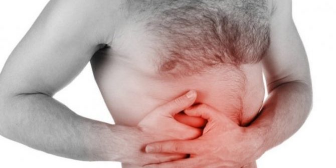 Целительные растения при холецистите — Медицина 2.0