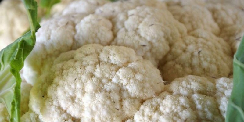 Четыре продукта, которые быстро восполнят недостаток витамина С