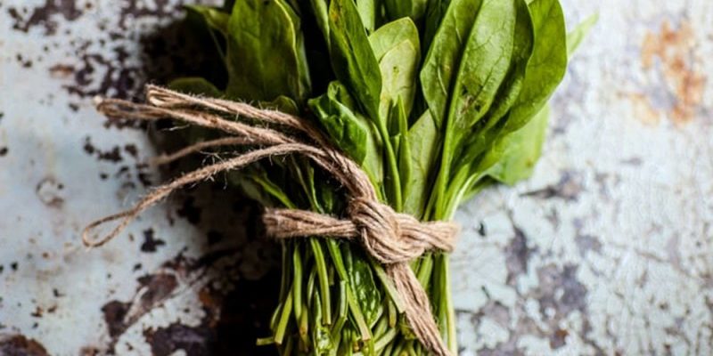 4 продукта, которые помогут сохранить мышцы во время самоизоляции