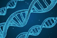 Концентрация витамина D определяется генами, установили специалисты