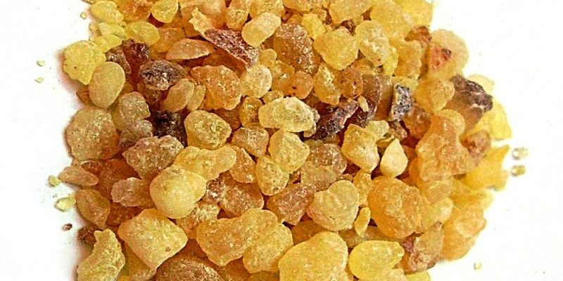 Ученые объяснили противовоспалительные свойства ладана